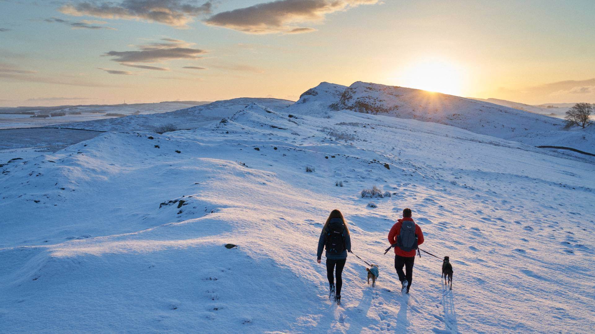 Winter walks in Northumberland