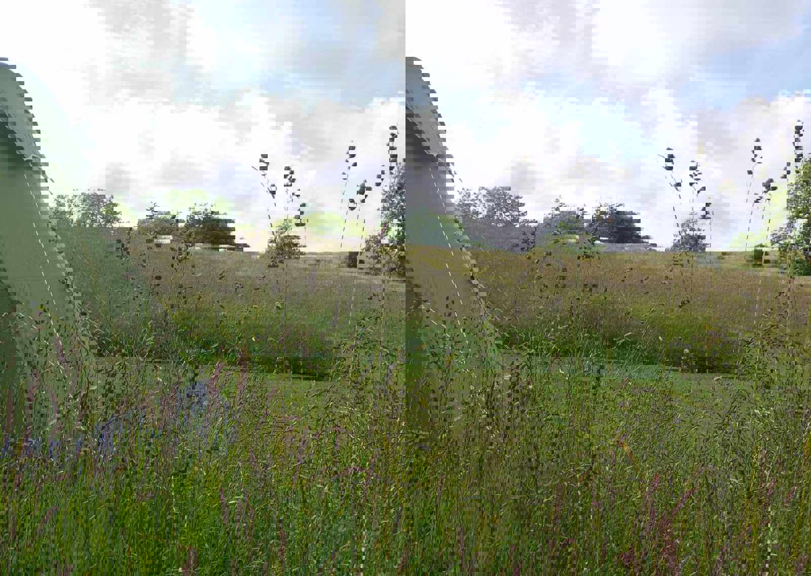 meadow-at-walkmill