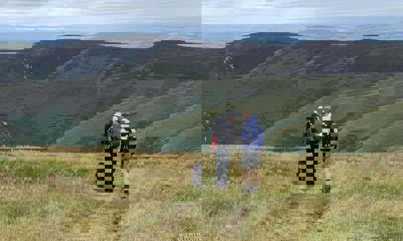 vn-large-ravenber-way
