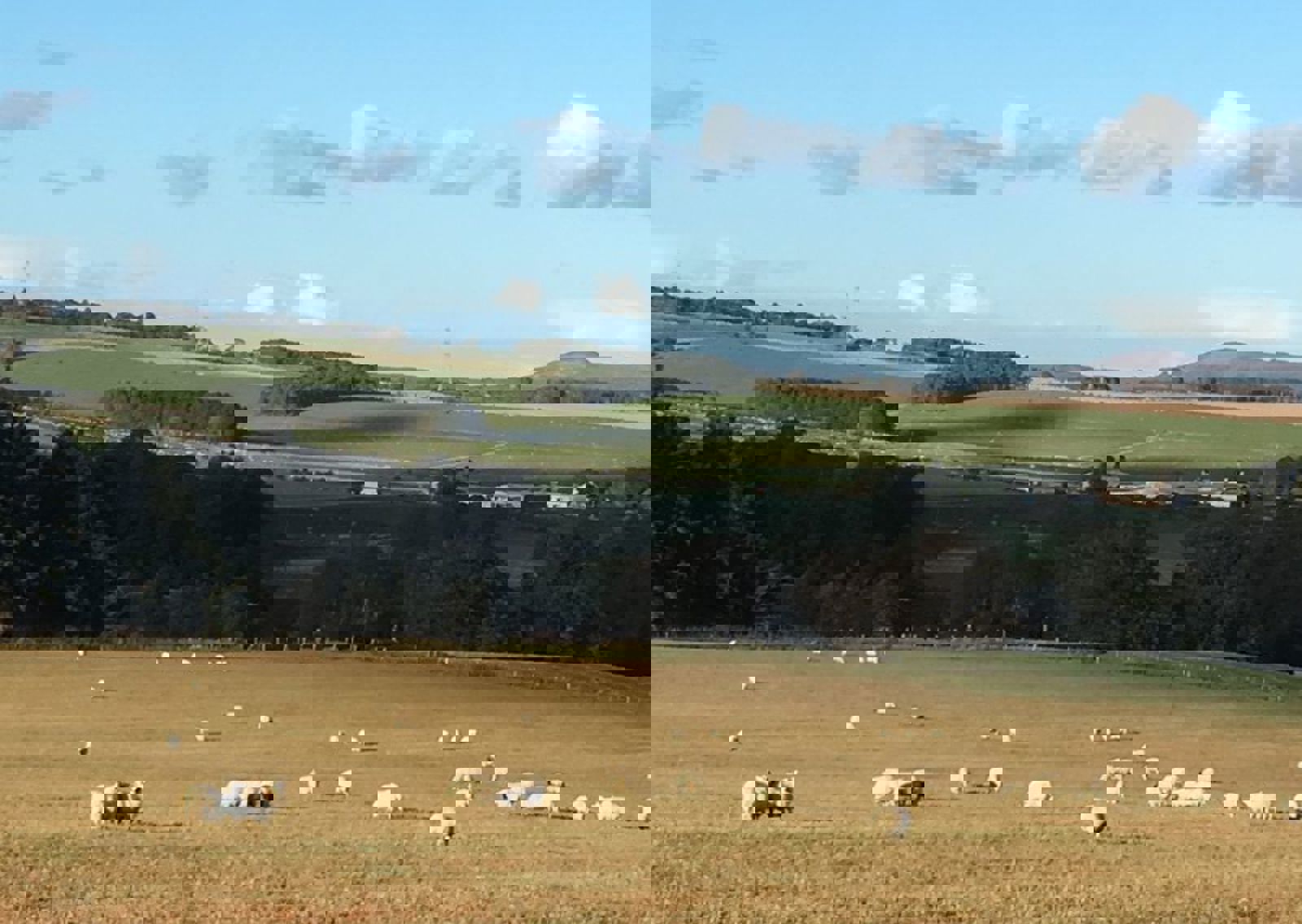 vn-large-Valley-views.jpeg