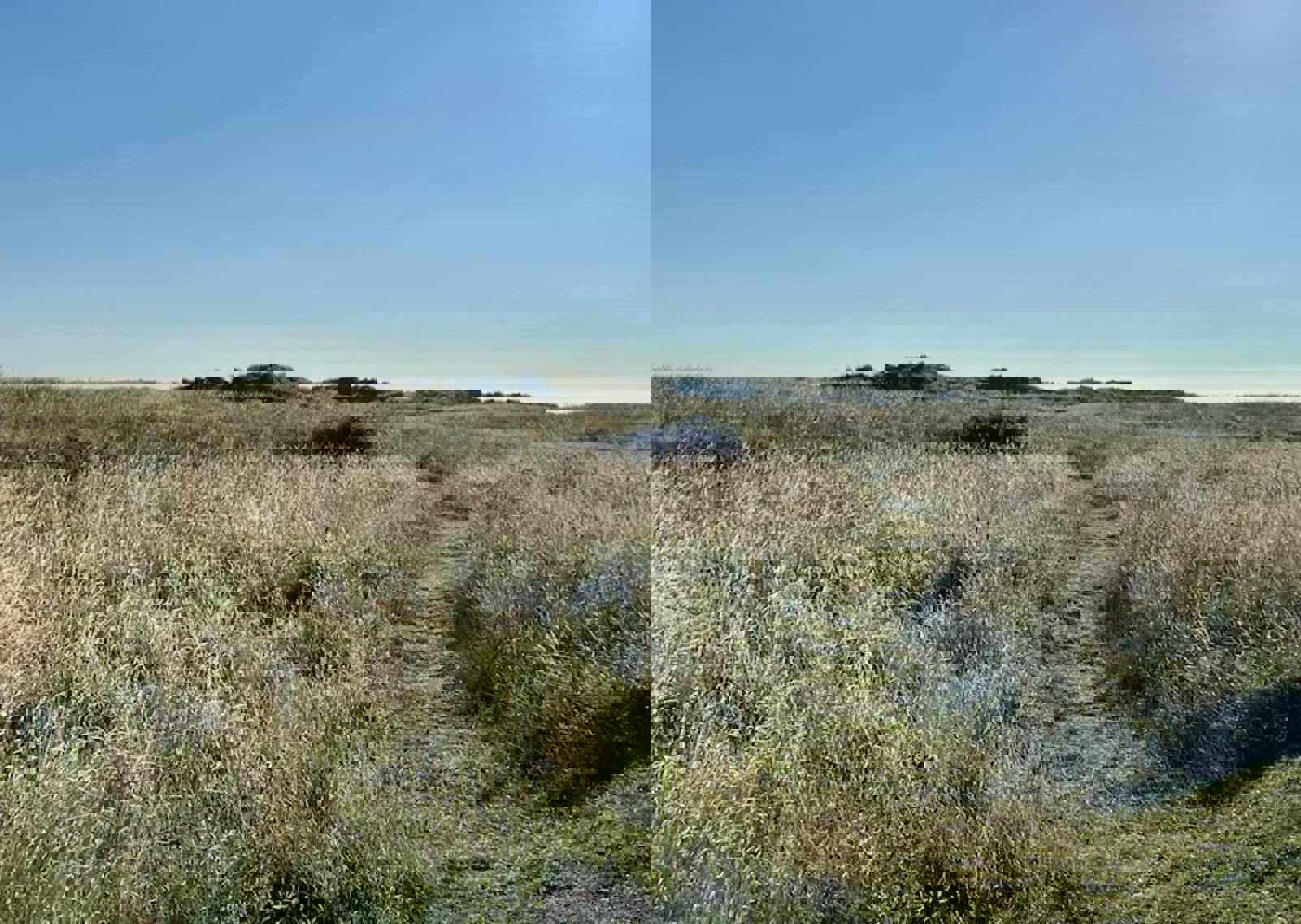 dunes-drift-cafe