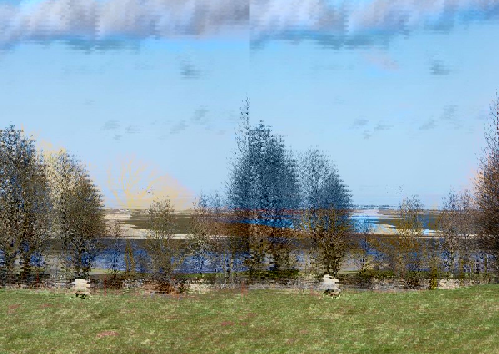 vn-large-A-closer-look-.jpg