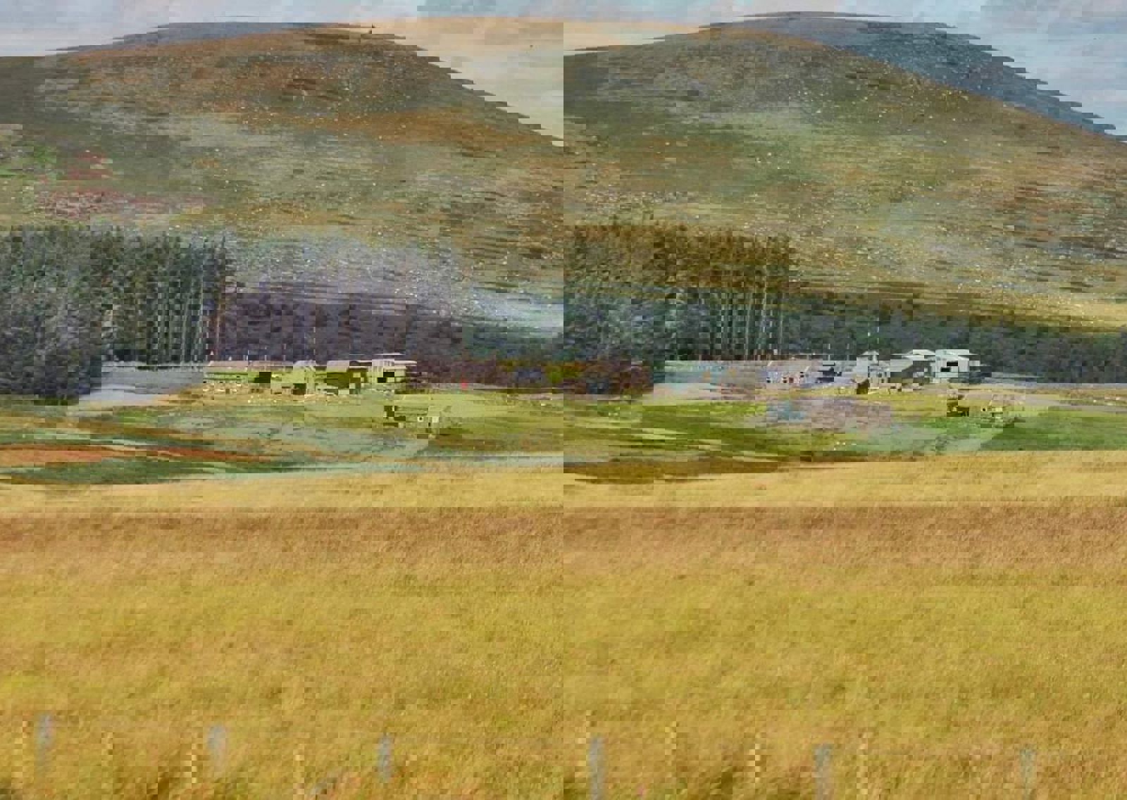 vn-large-Landscape.jpeg