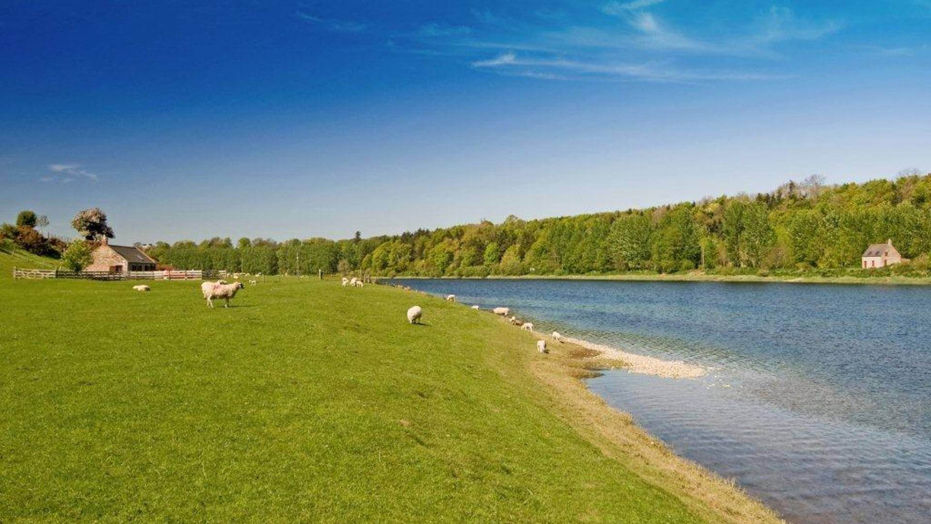 along-the-river