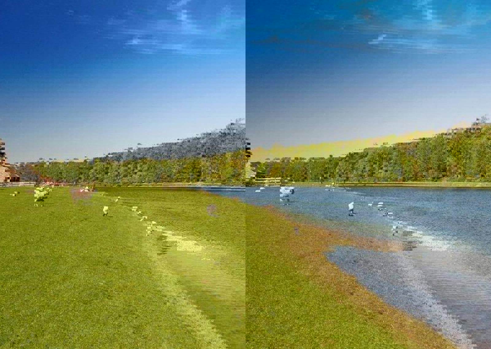 along-the-river