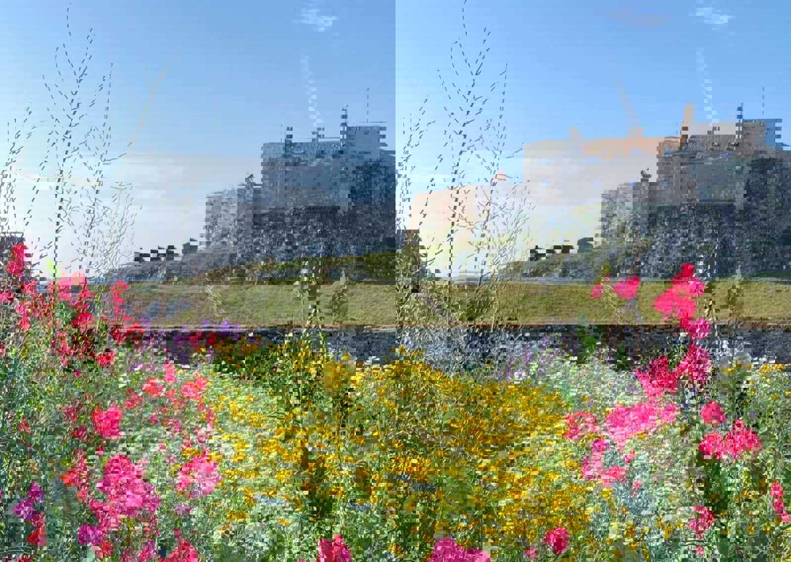 lindisfarne-gertrude-garden