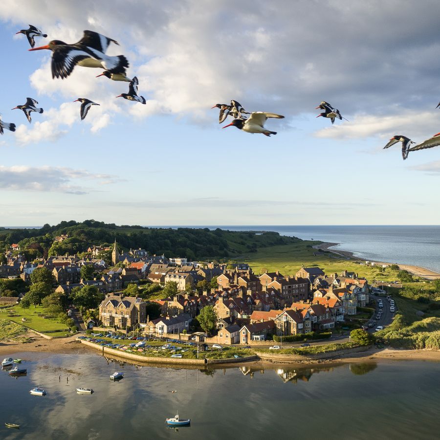 vn-large-Alnmouth-Cottages.jpg