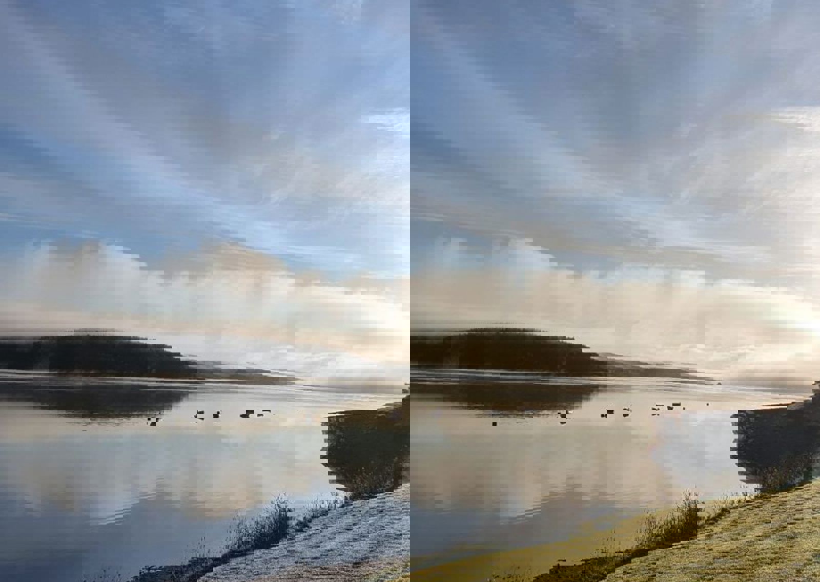 vn-large-View-from-Kielder-Waterside.jpg