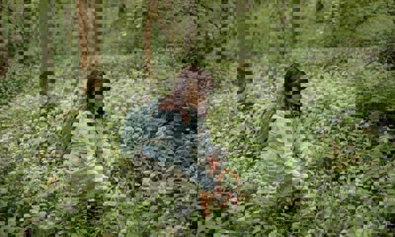 The-Cramlington-Forager