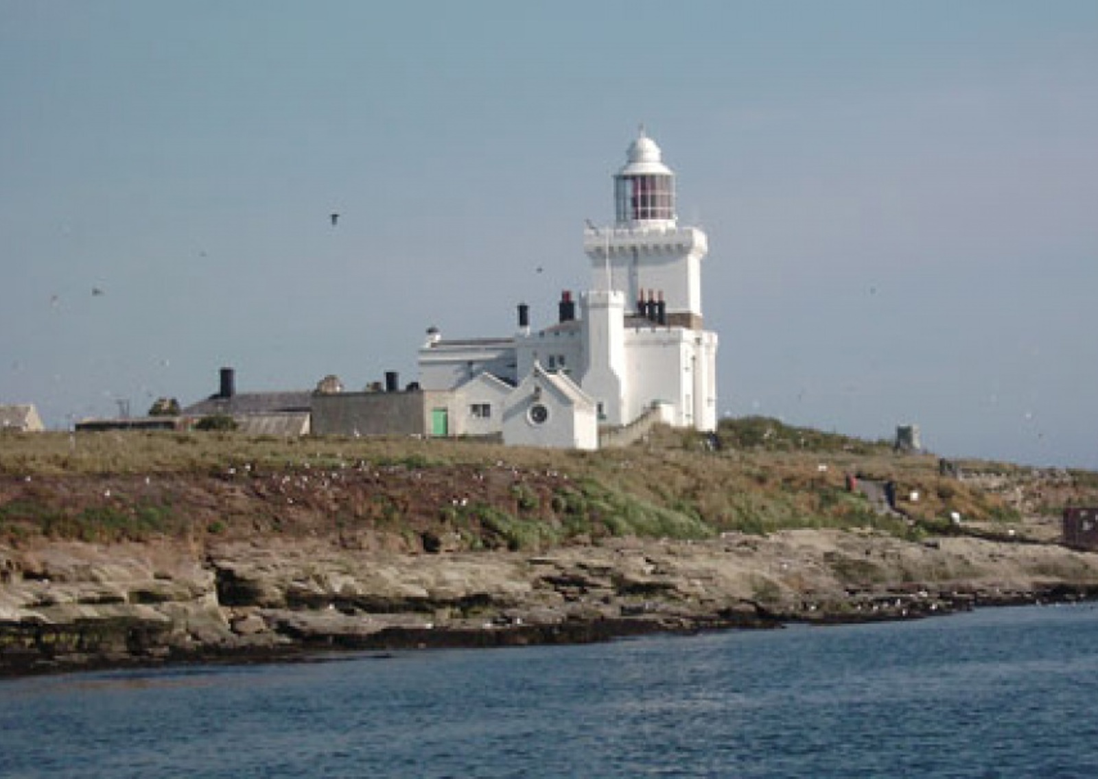 vn-large-Coquet-Island.jpg