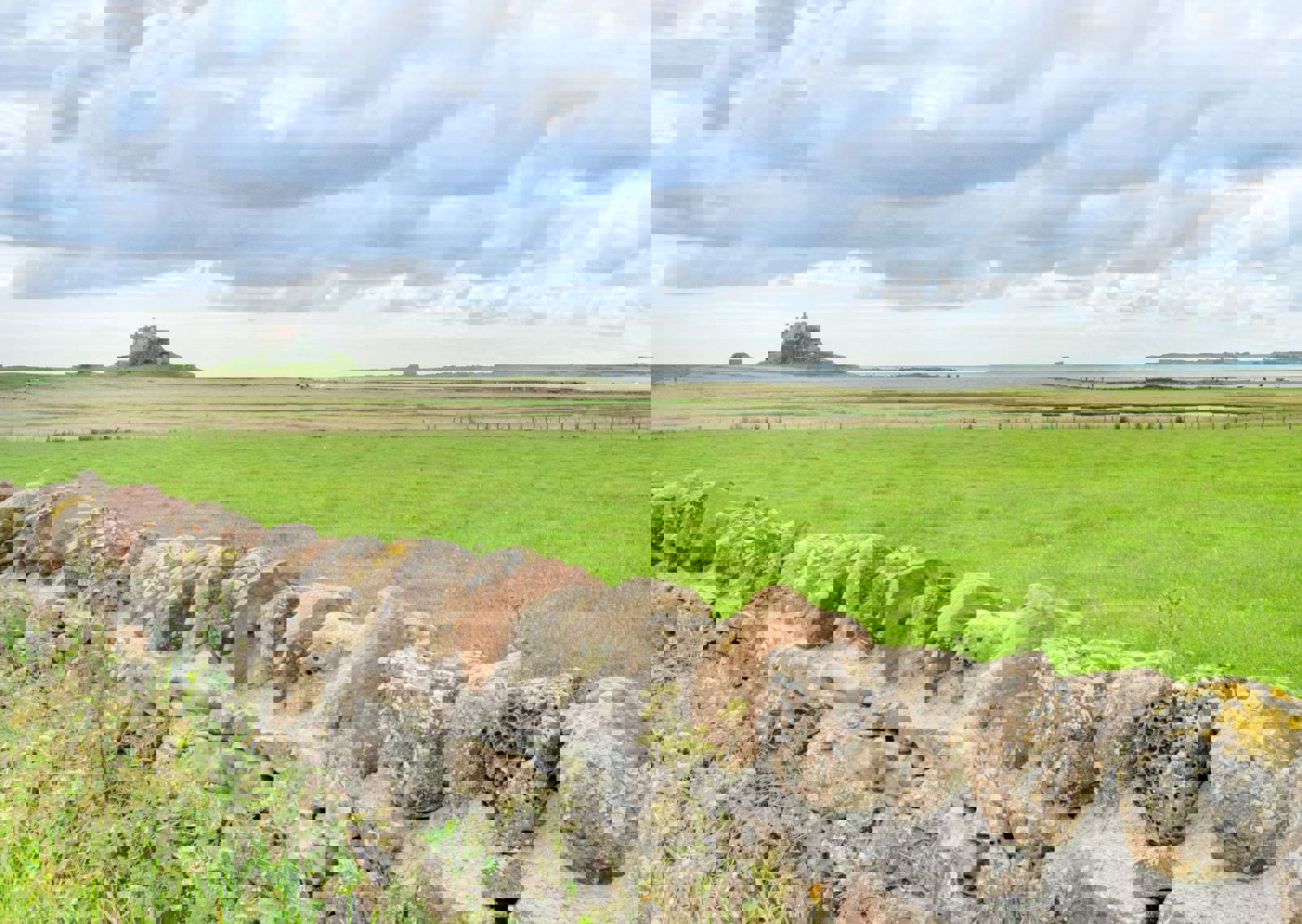 vn-large-View