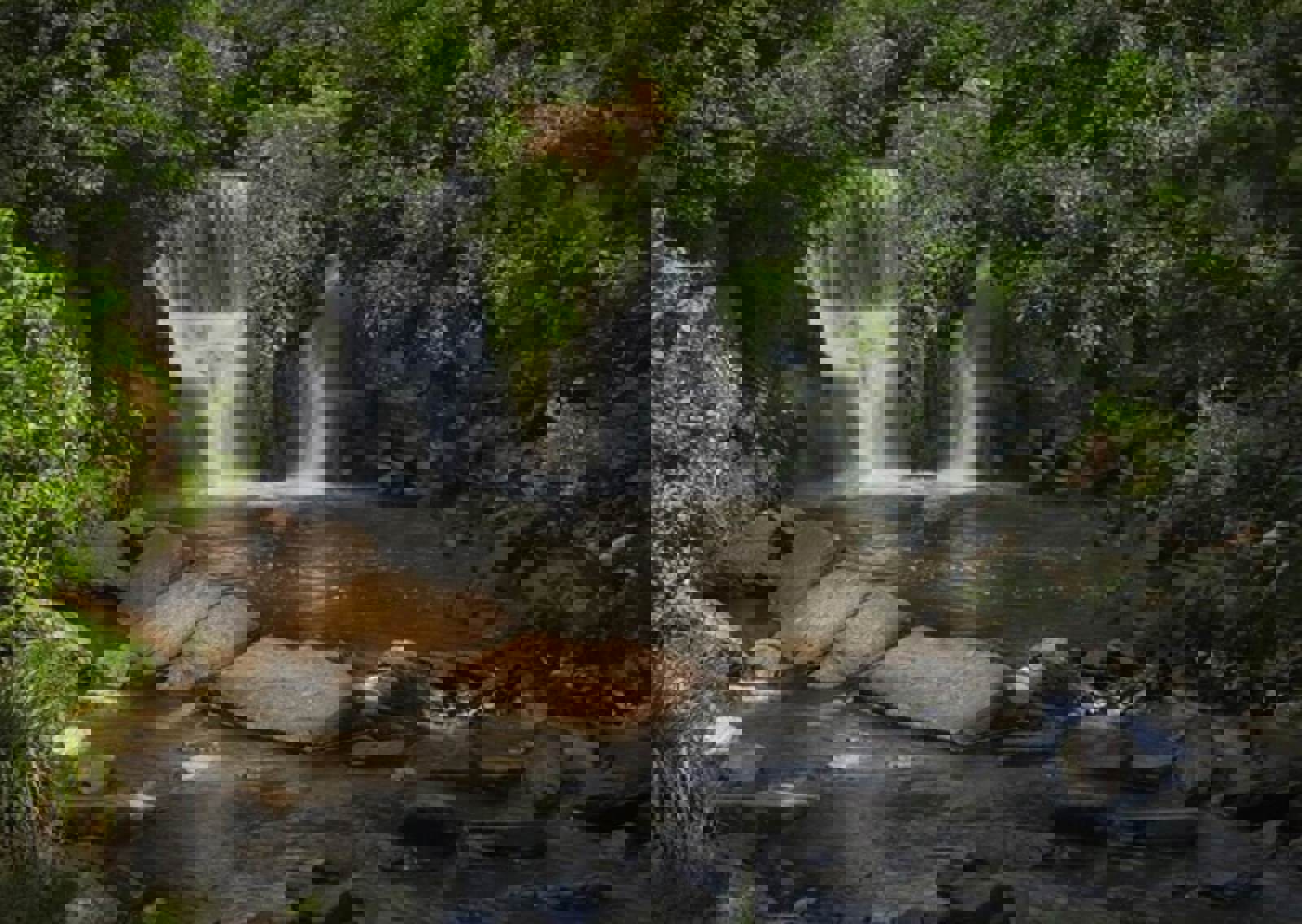 301606325_5026214884151175_6695138358416677950_n