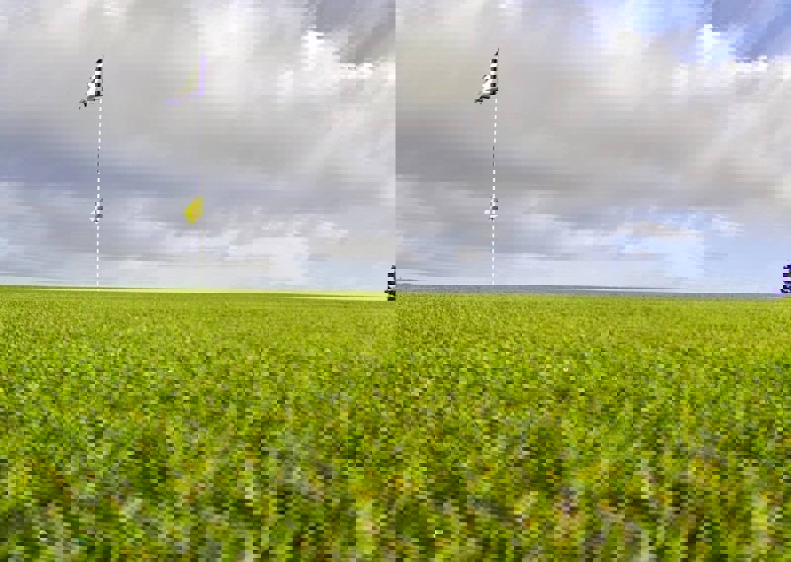 longhirst-golf-club-green