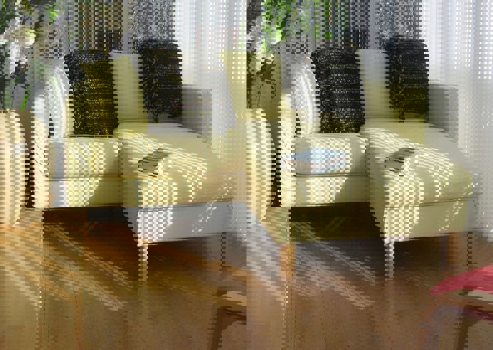 vn-large-Midwood-Conservatory.jpg
