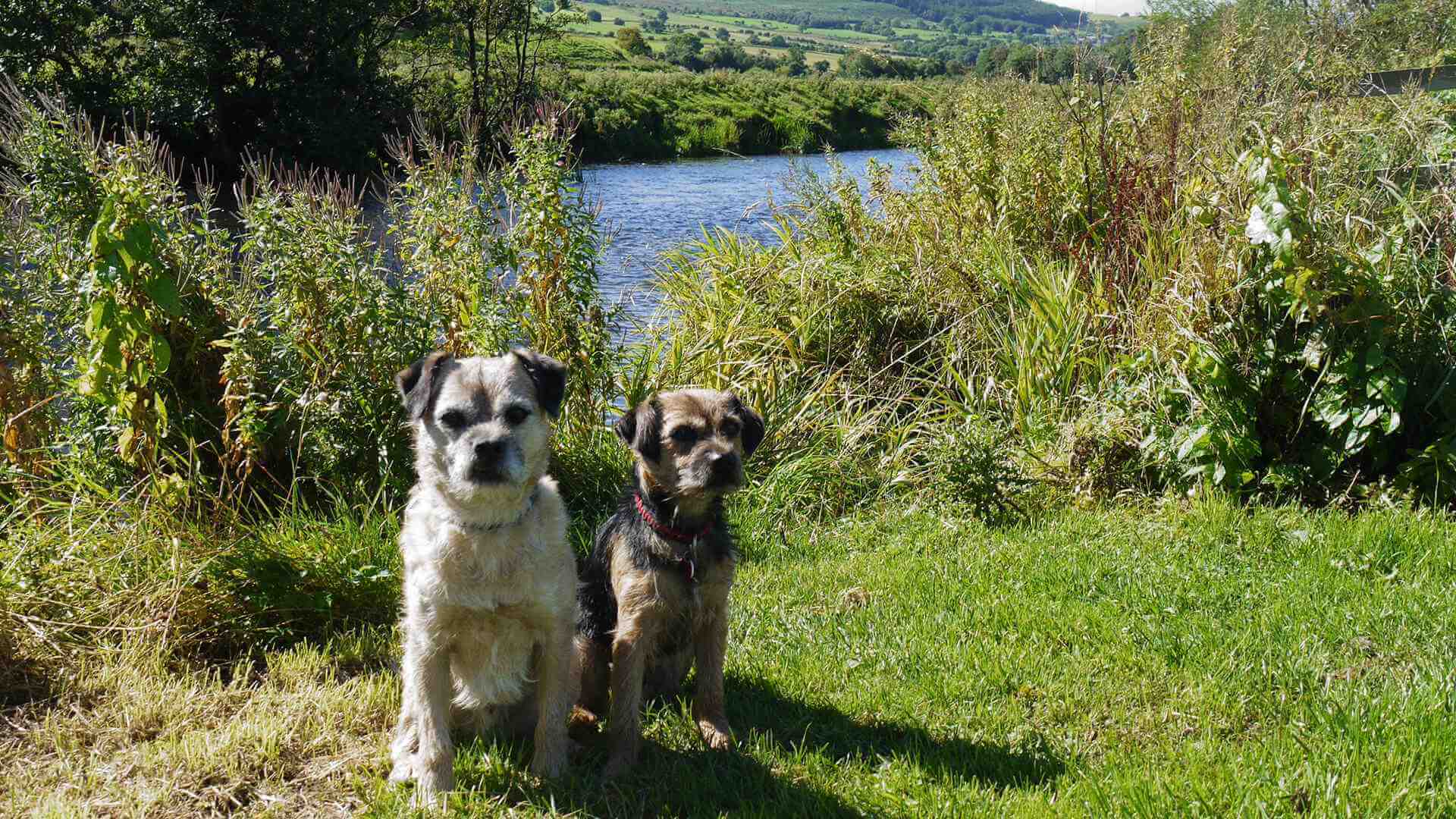 rothbury-short-walk