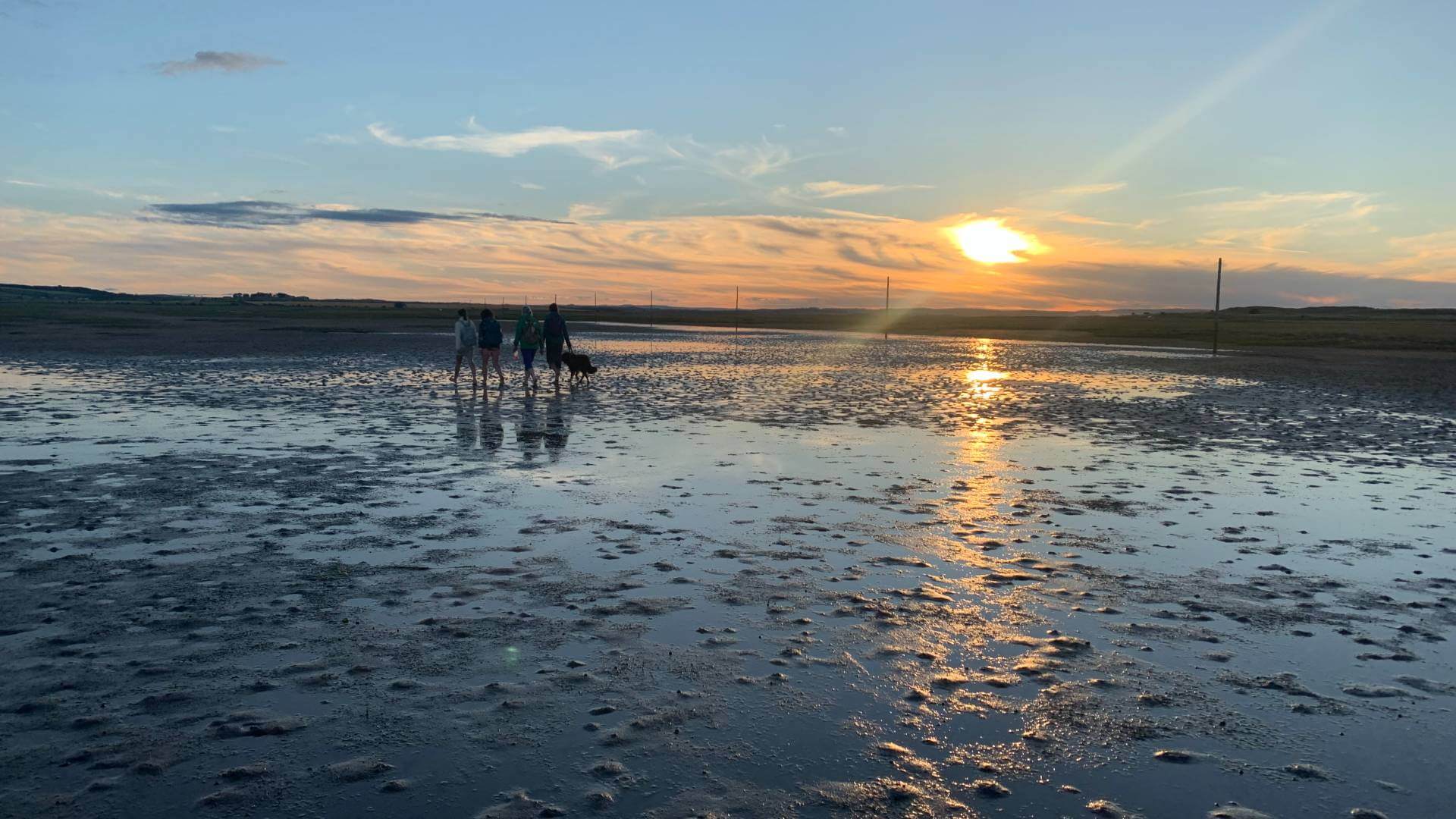 wild-experiences-holy-island