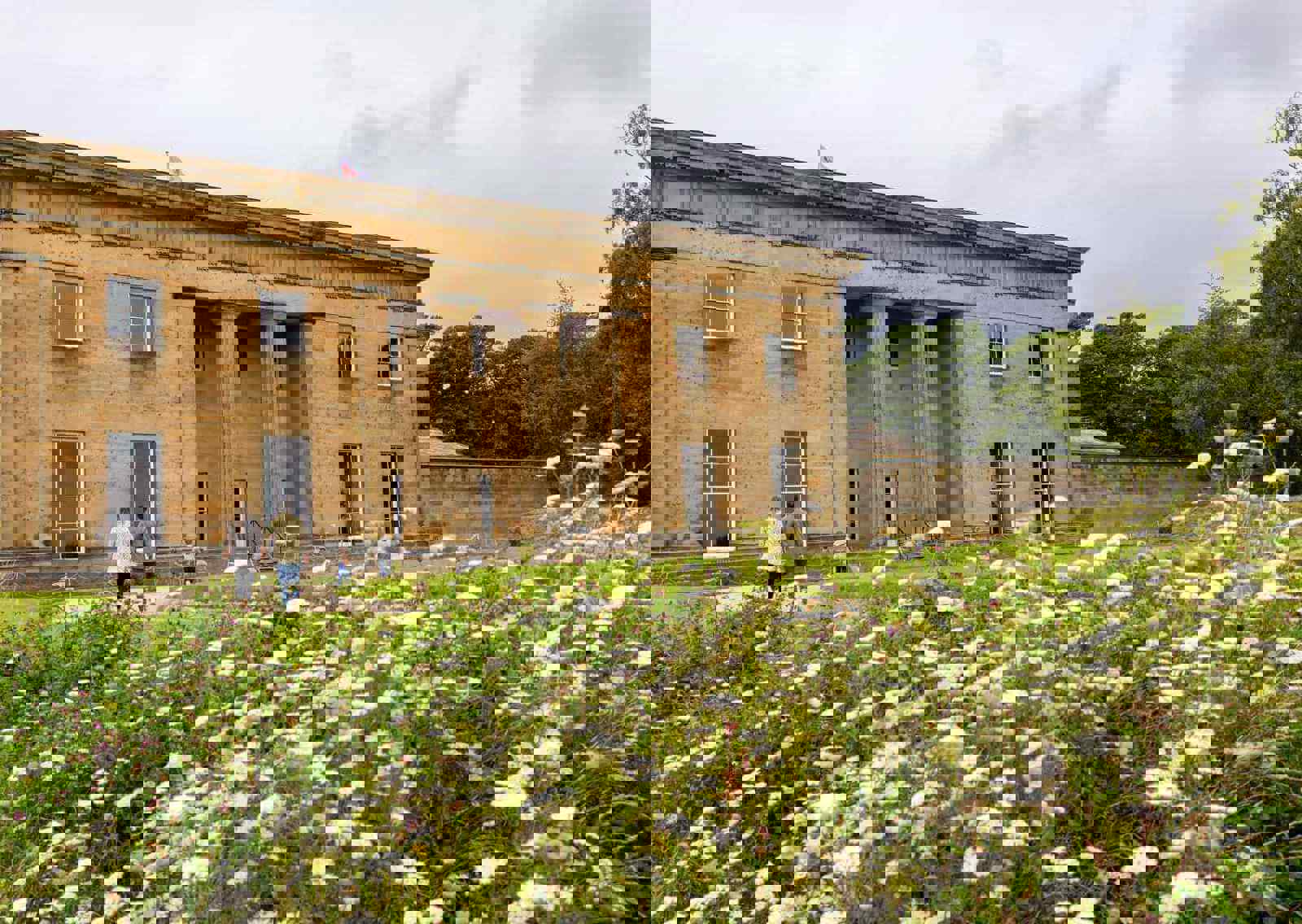 belsay-hall-buttercups
