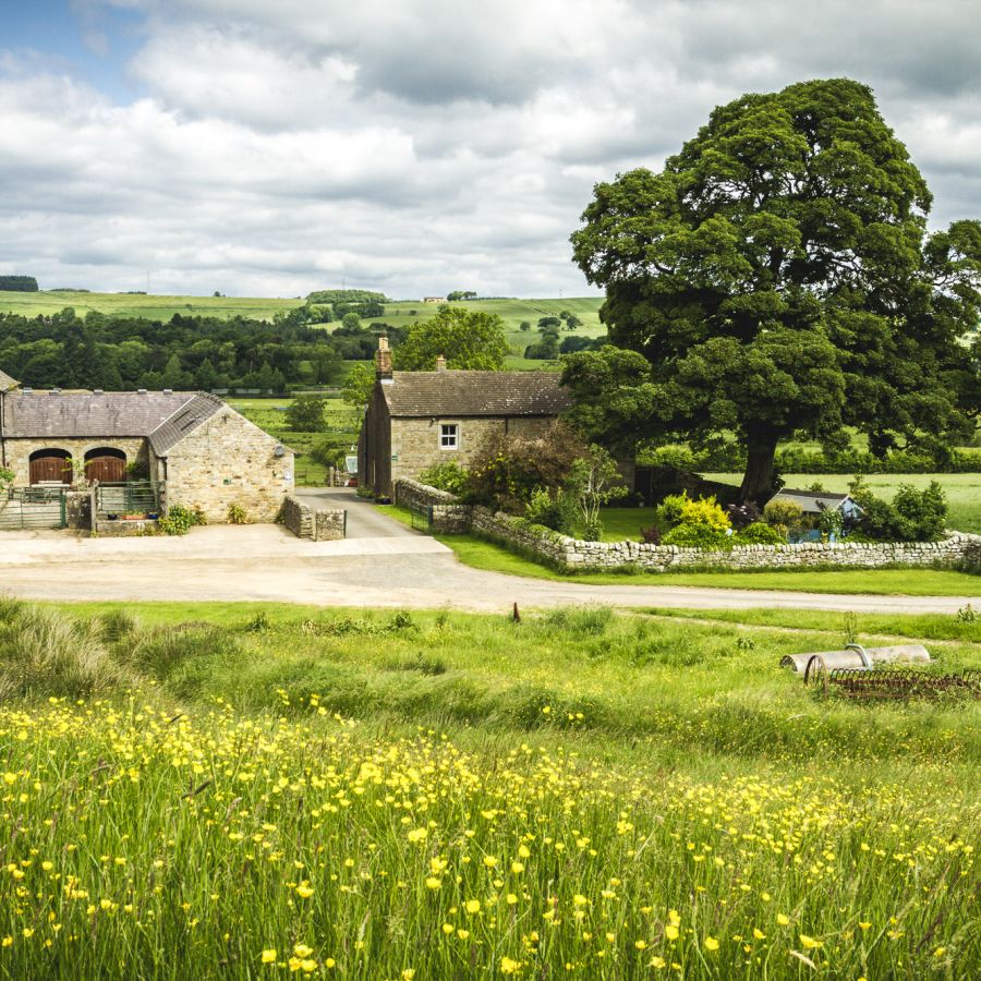 vn-large-Wydon-Farm.jpeg
