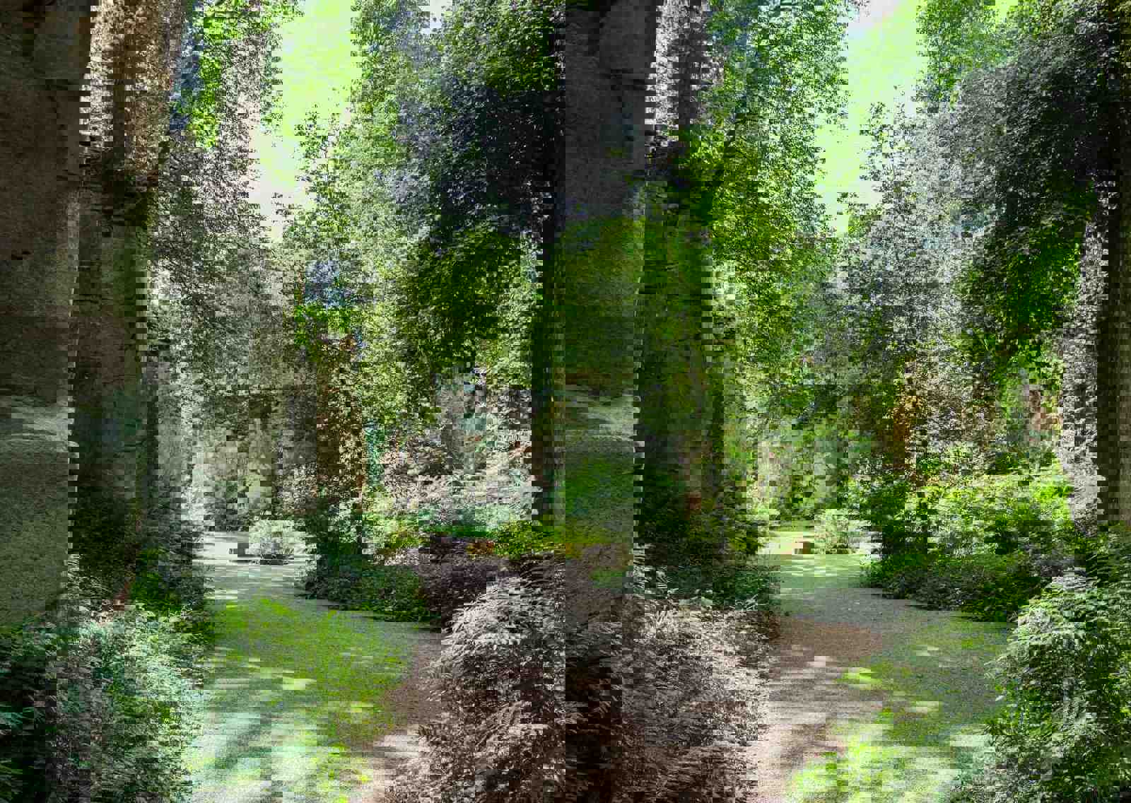 belsay-hall-quarry-gardens