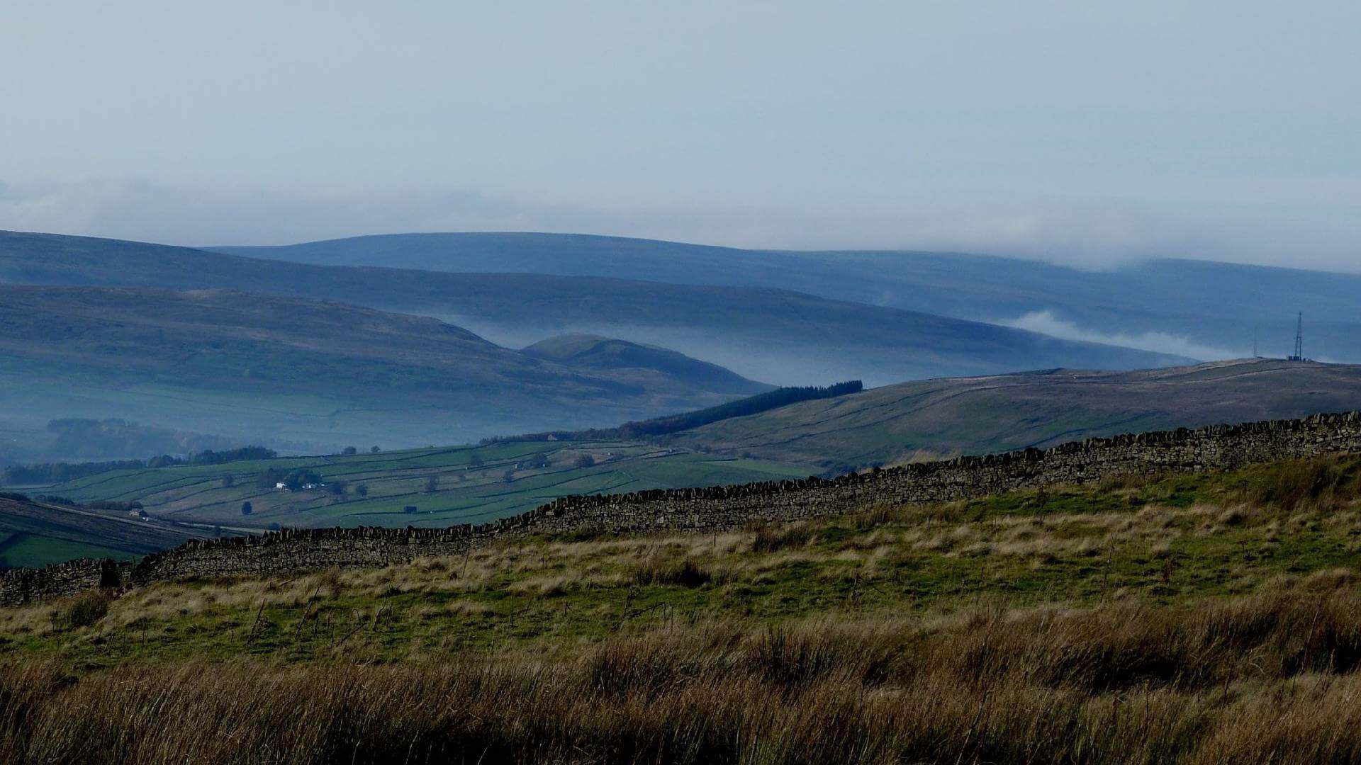 isaacs-tea-trail
