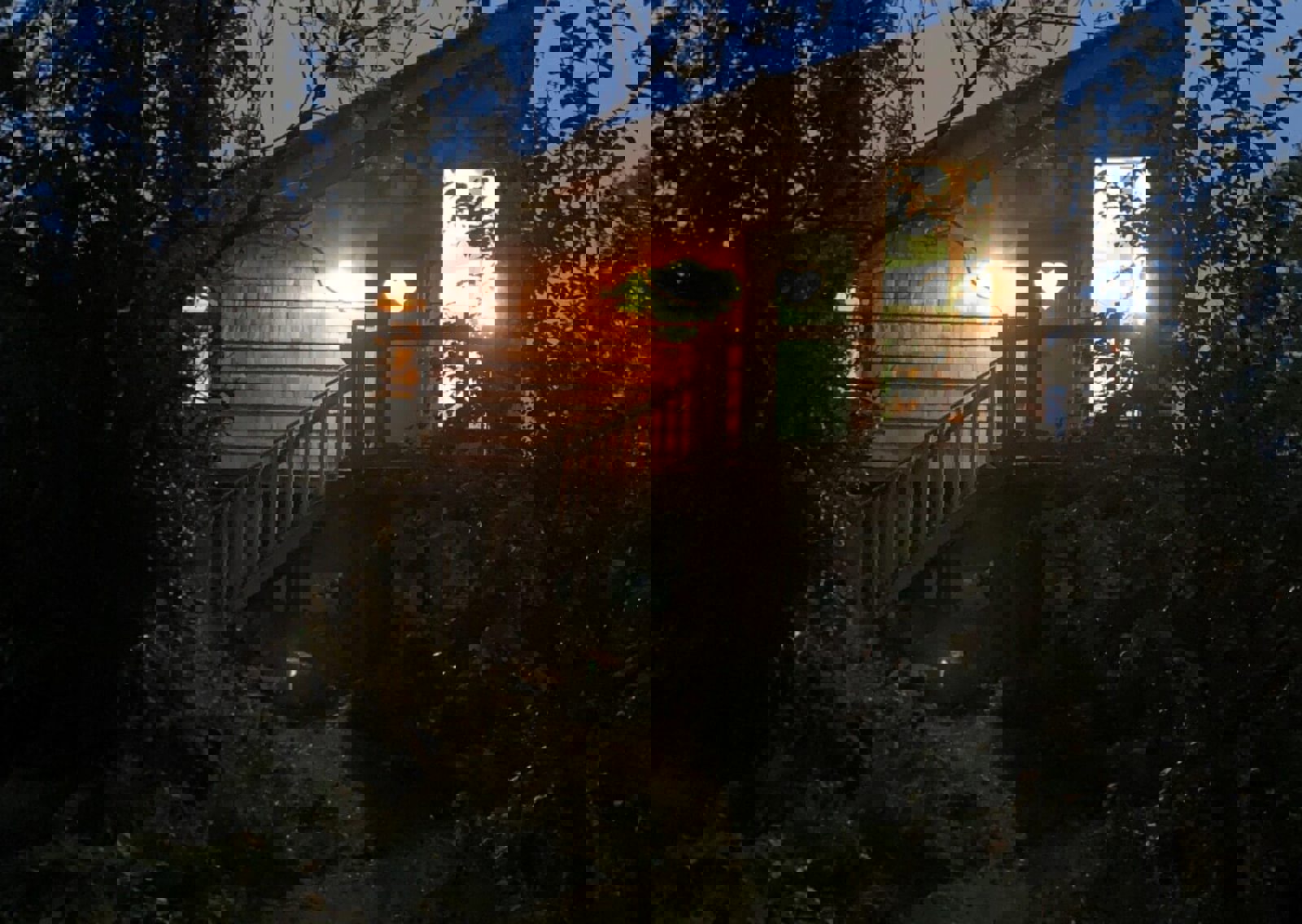 Treehouse-1