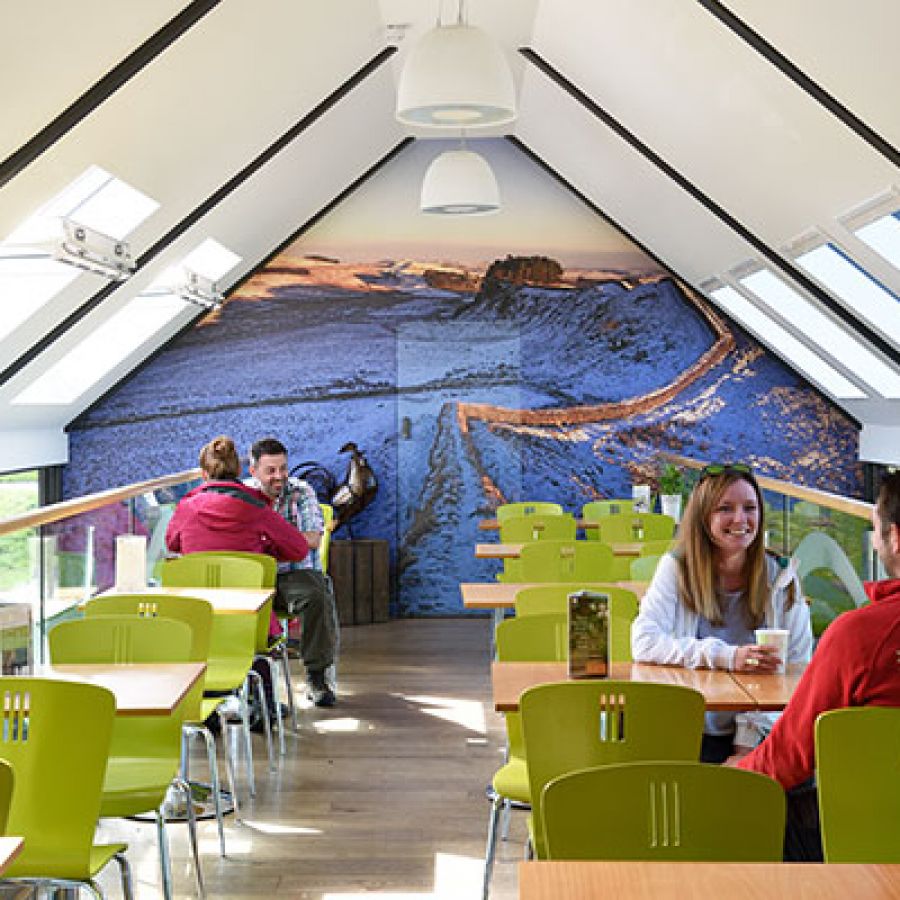 vn-large-Cafe