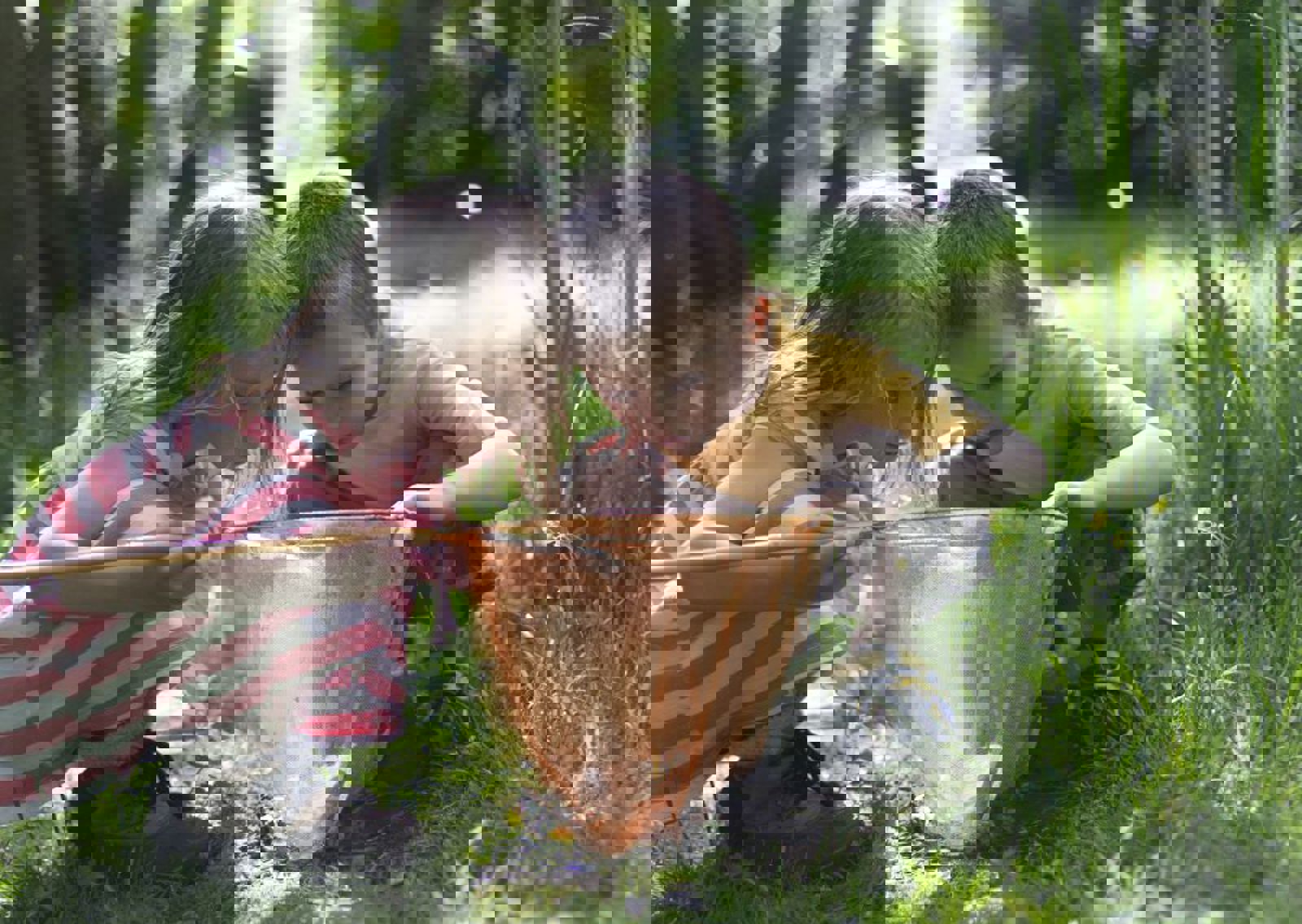 vn-large-Pond-dipping.jpg