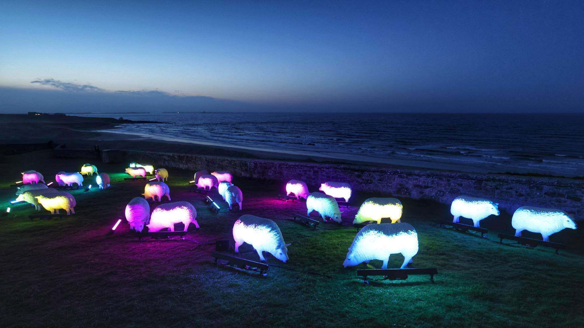 winter-warmers-2023-illuminated-sheep