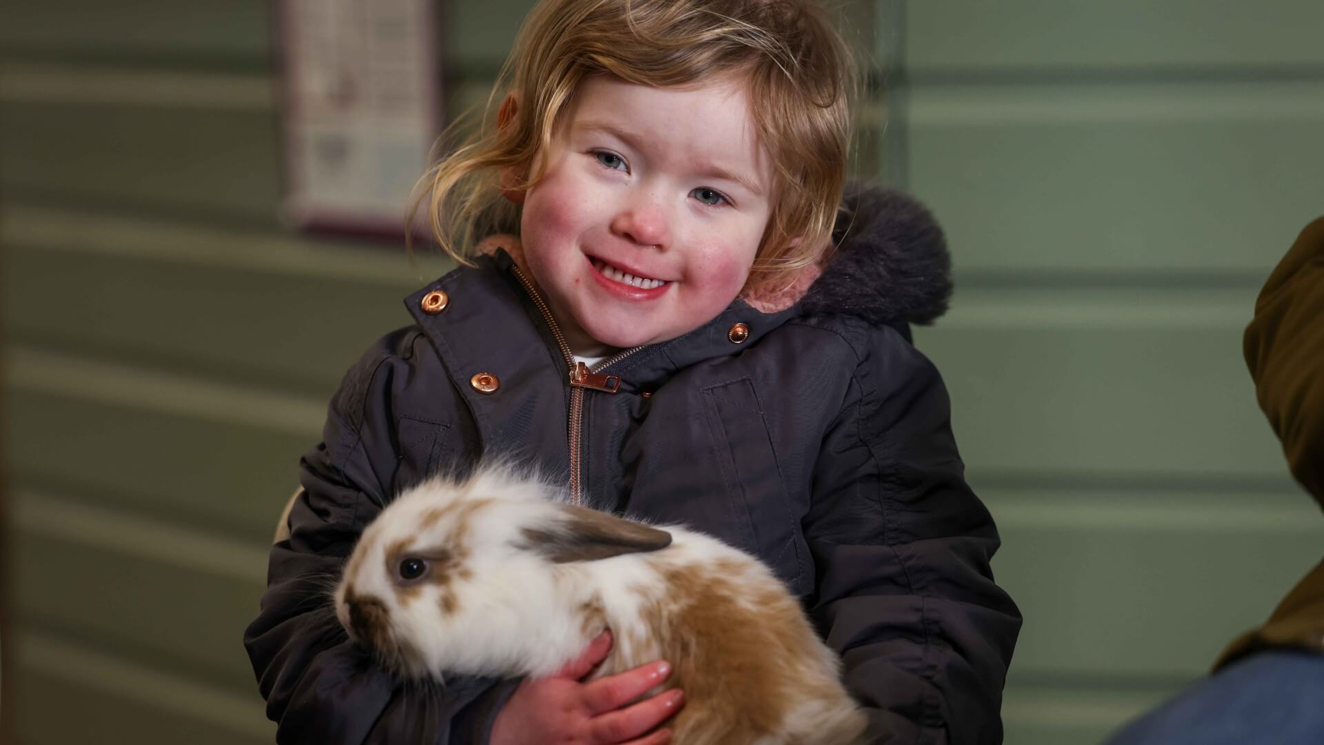 Petting-bunny_2