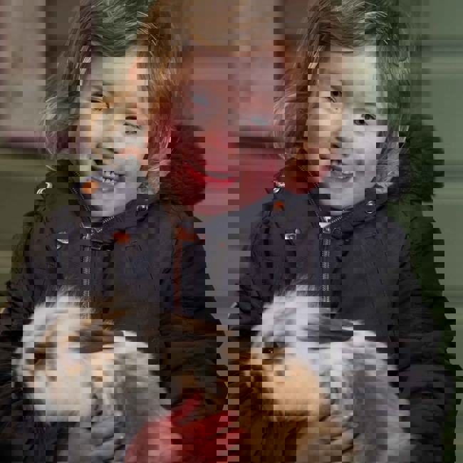 Petting-bunny_2