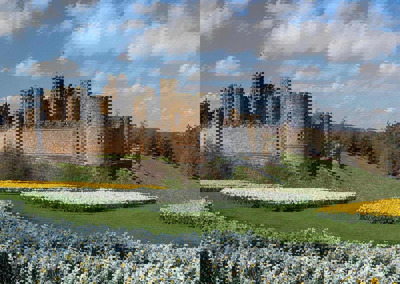 barneyside-view