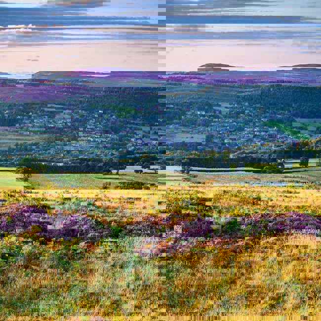rothbury-2023-low