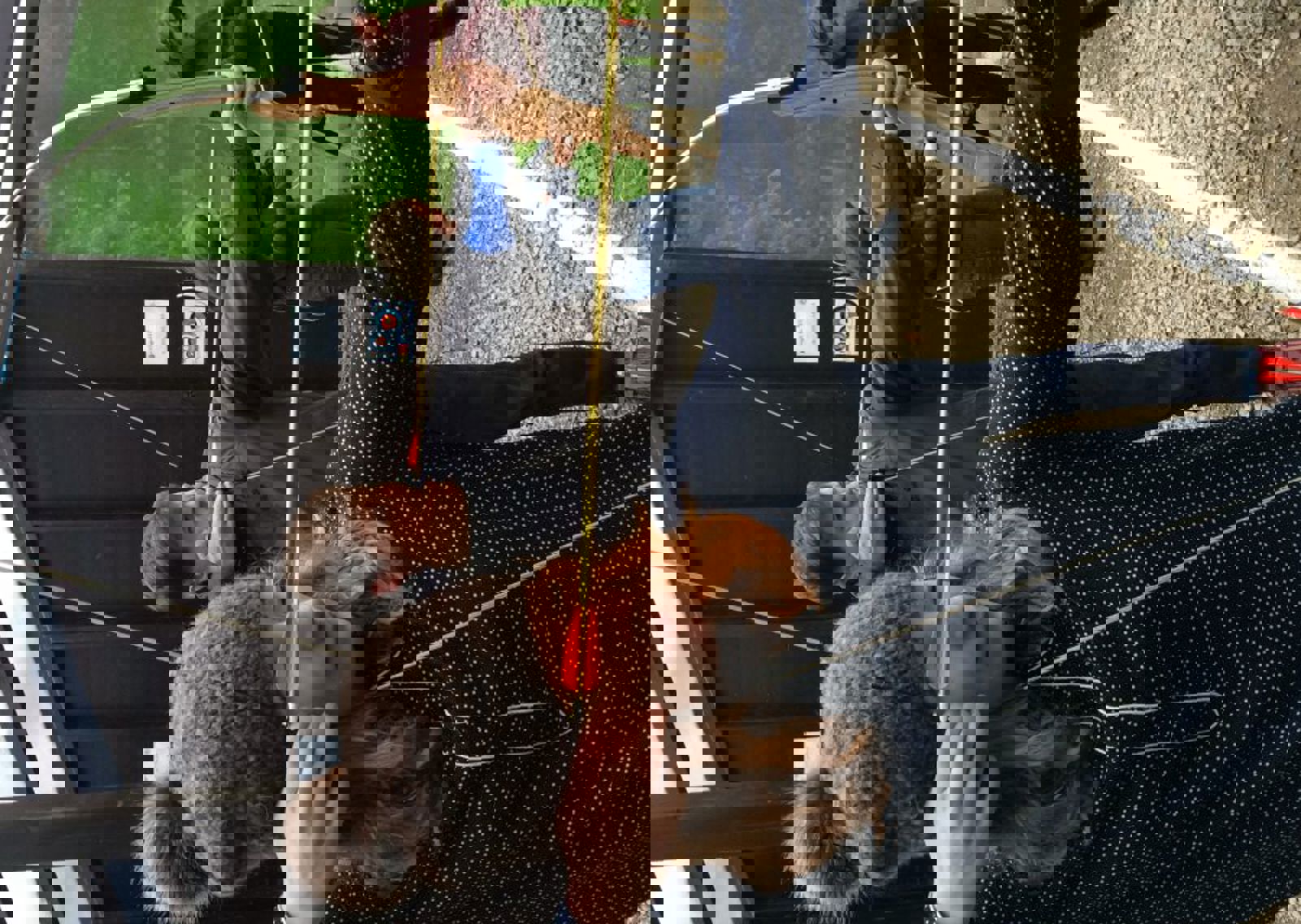 vn-large-Achery