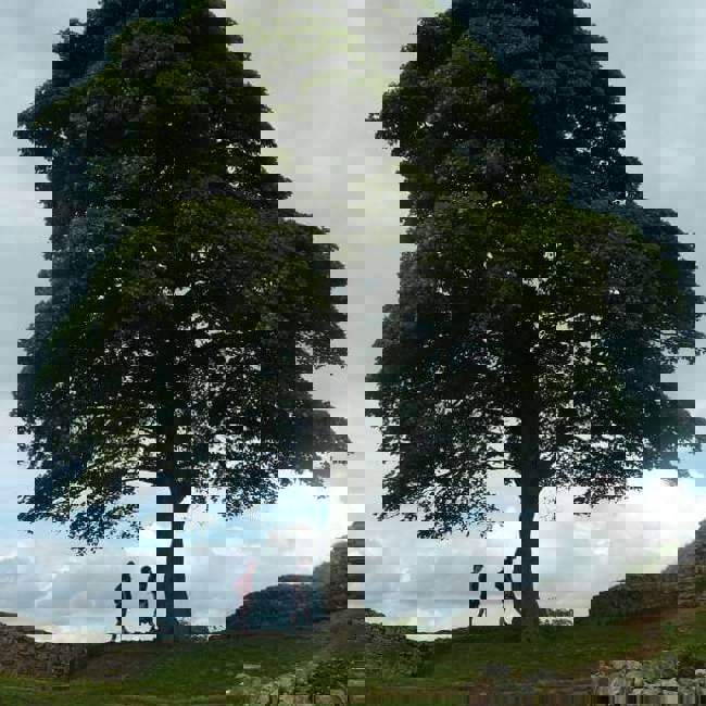 once-brewed-walk