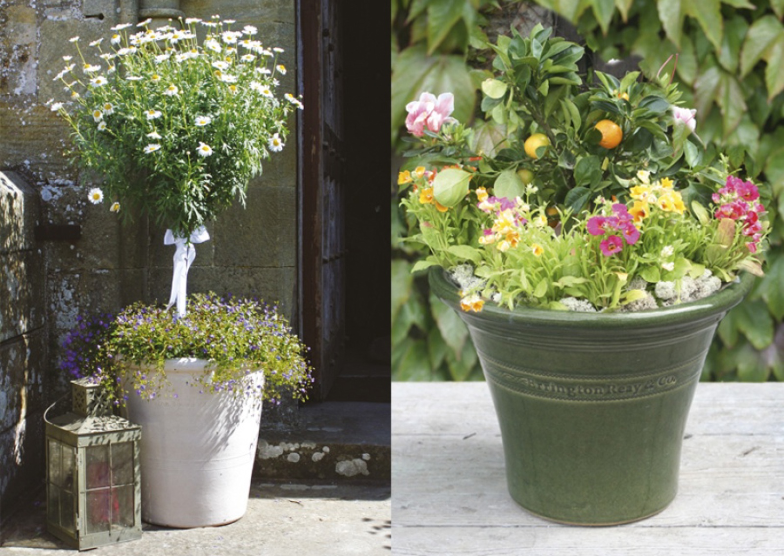 vn-large-Errington-Reay-flower-pots.jpg