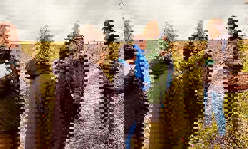 Ad Gefrin Foraging Edit