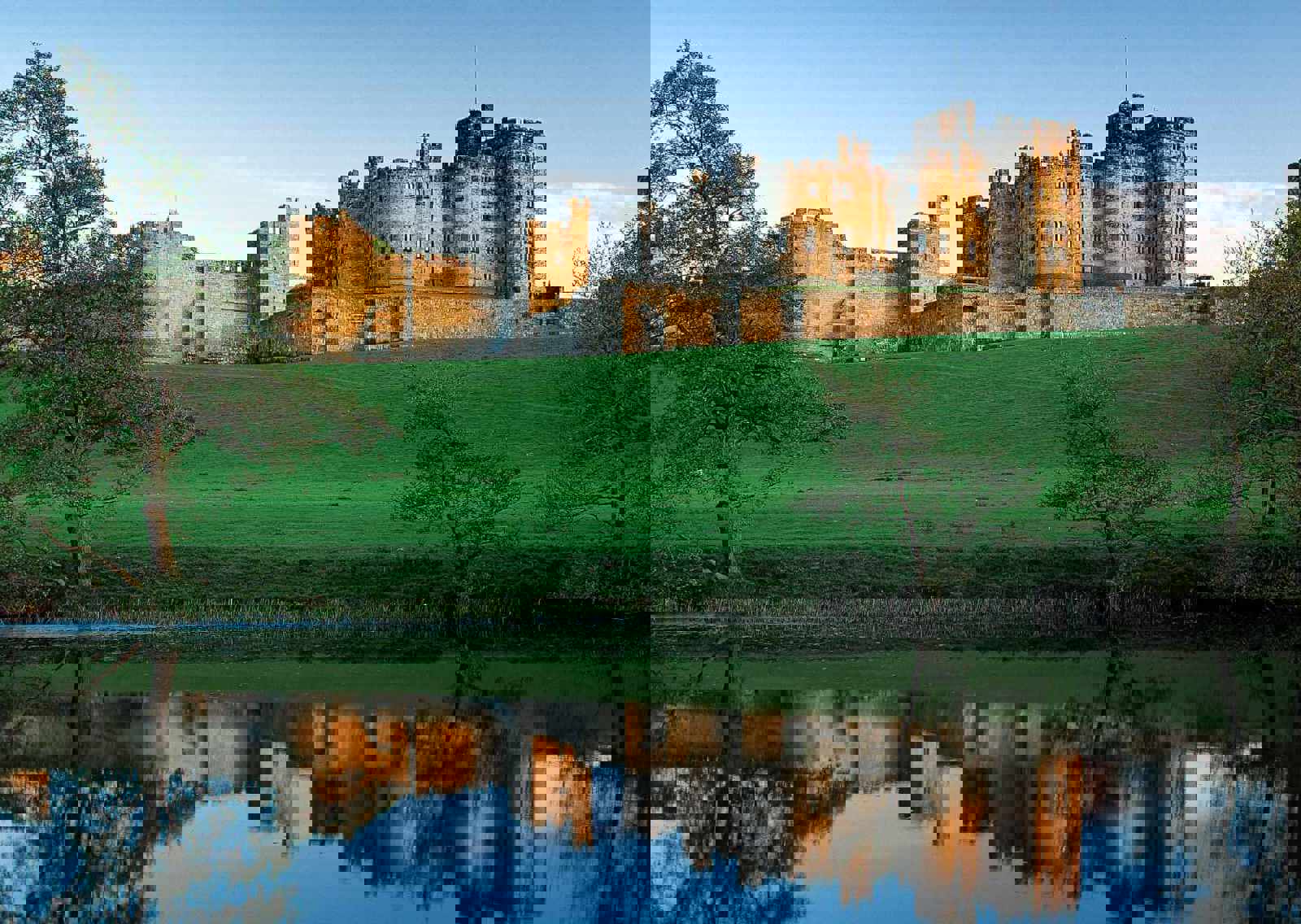 pastures-view