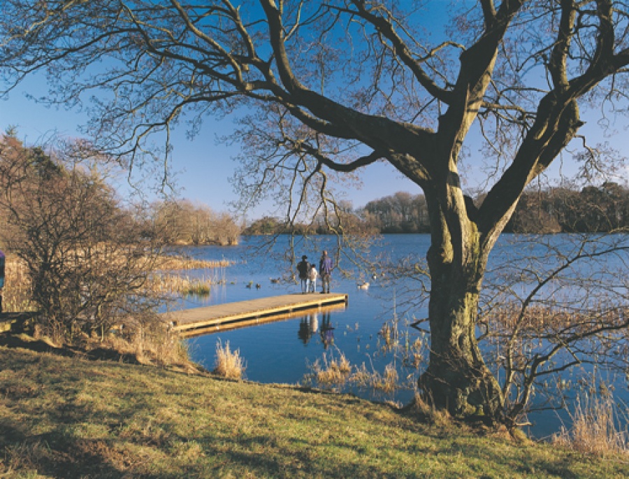 vn-large-Bolam-Lake-Country-Park