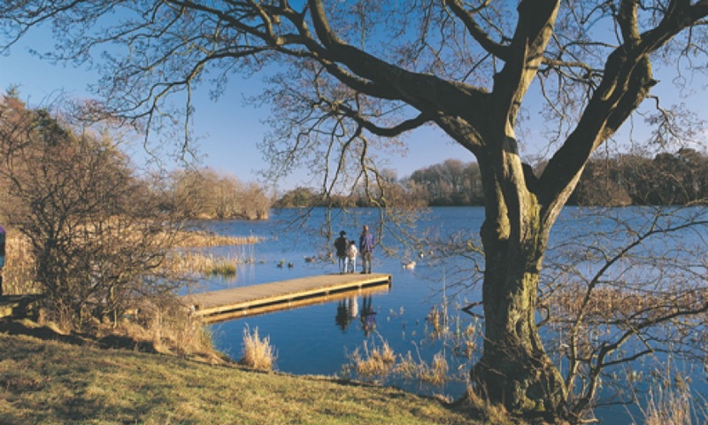 vn-large-Bolam-Lake-Country-Park