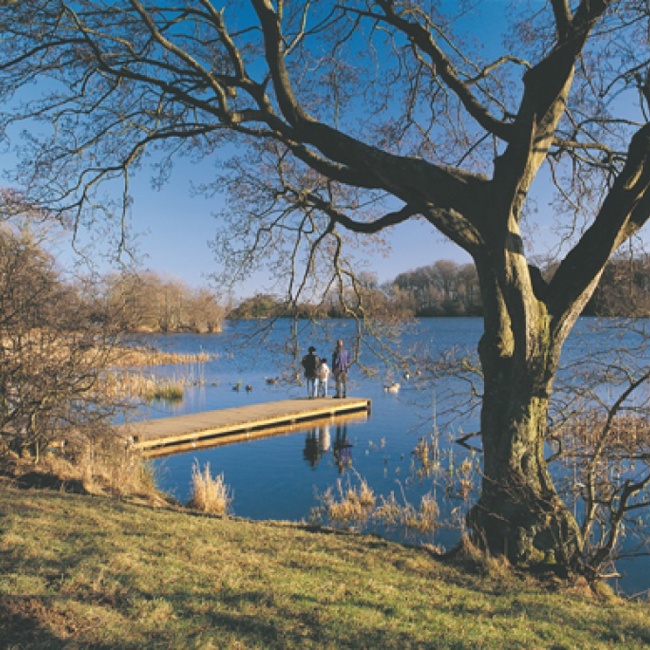 vn-large-Bolam-Lake-Country-Park