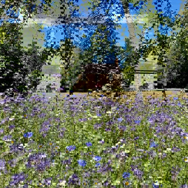 Cherryburn-2022-Rebecca-Hetherington