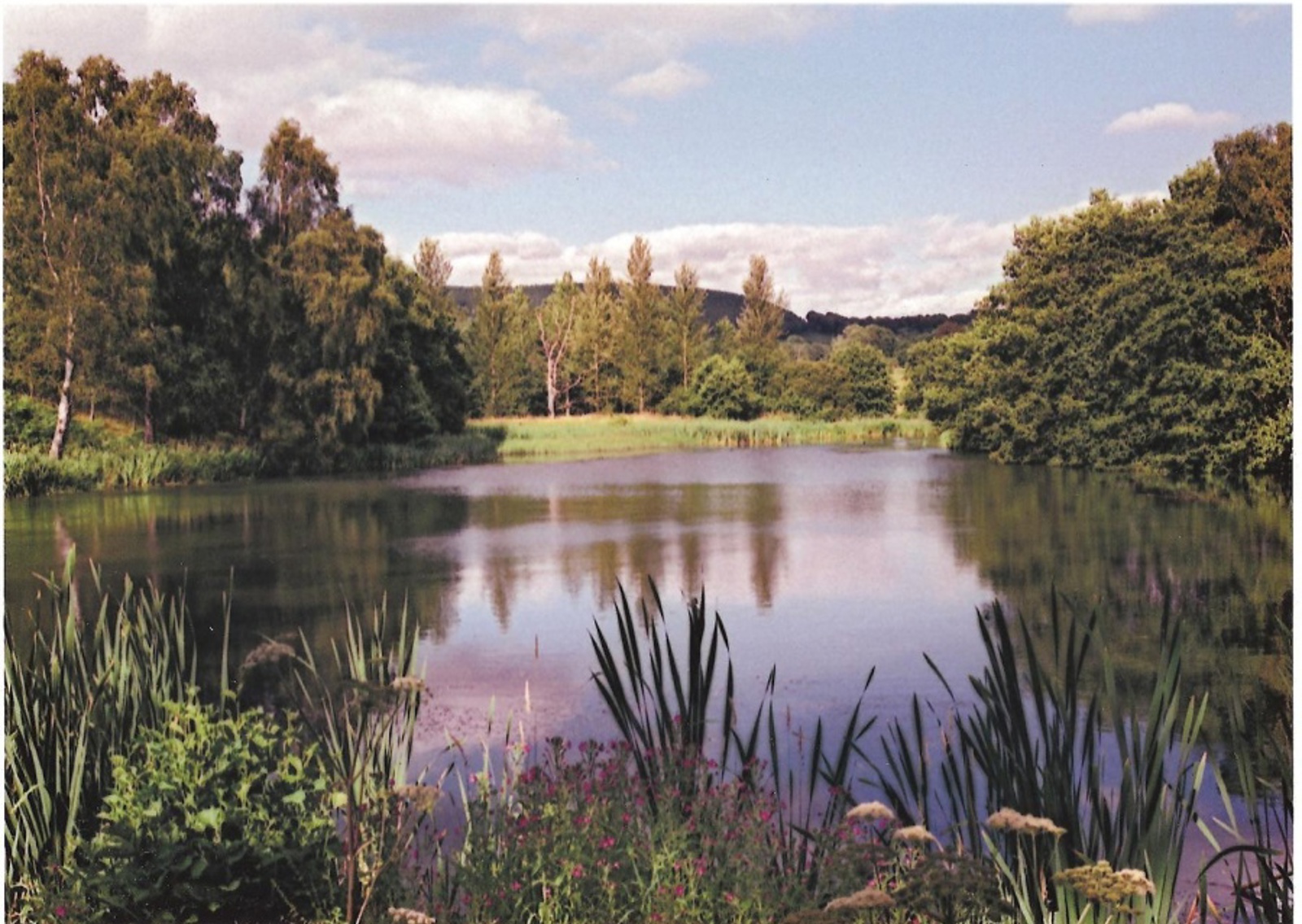 vn-large-Chillingham-lake.jpg