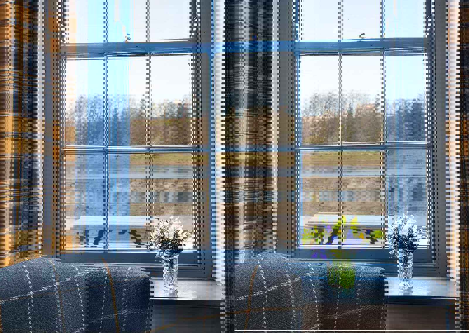 window-view