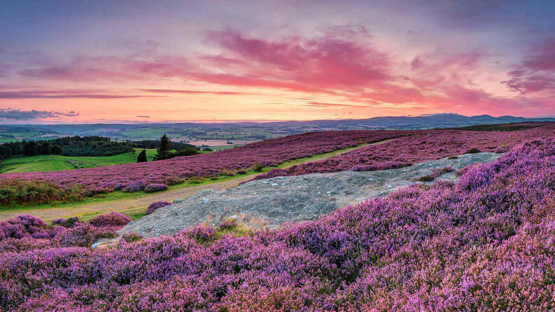 coquet-valley-2023