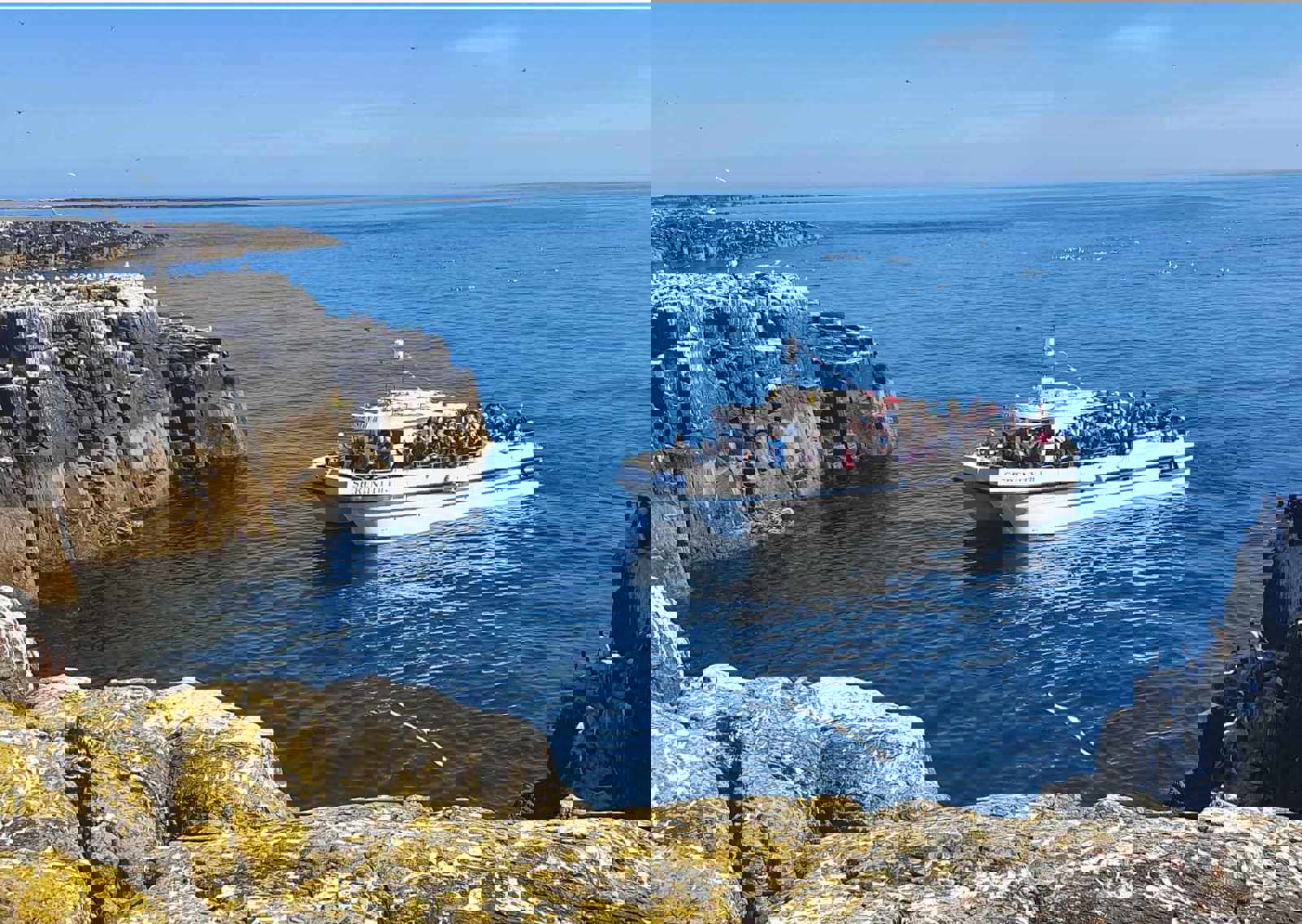 Image-2