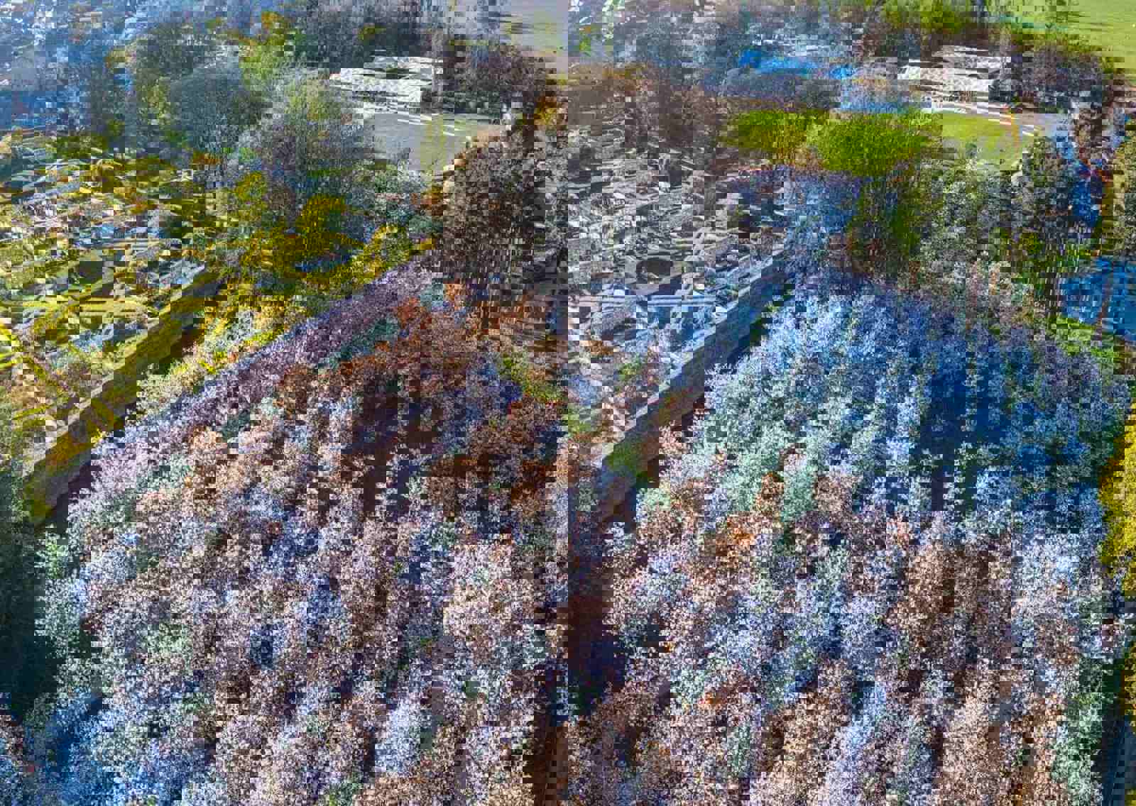 Blossom-Aerial