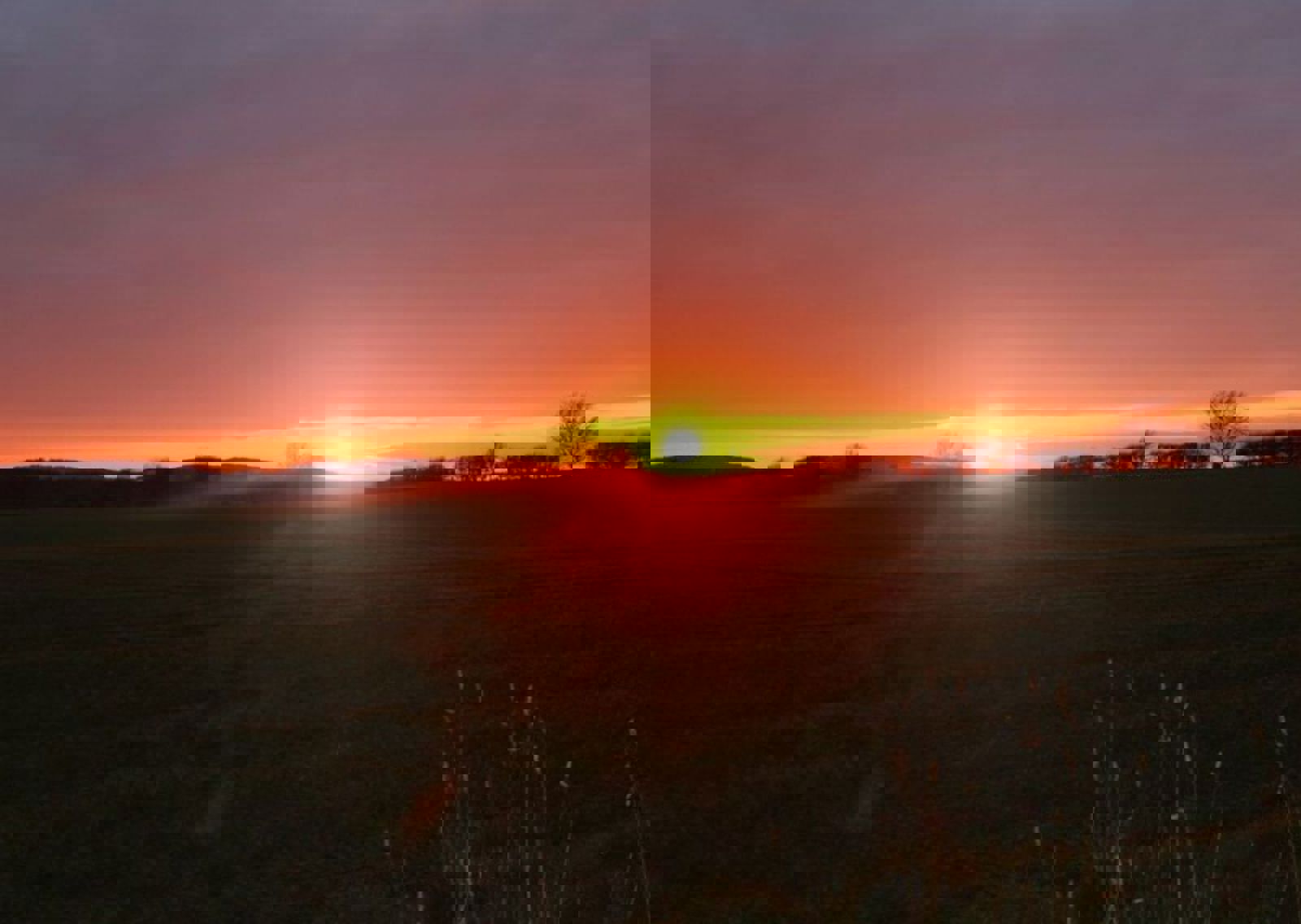 vn-large-Cheviot-Sunset.jpg
