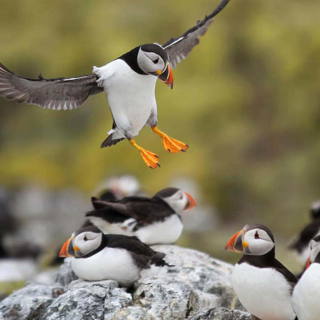 farne-hero-2-1600x900