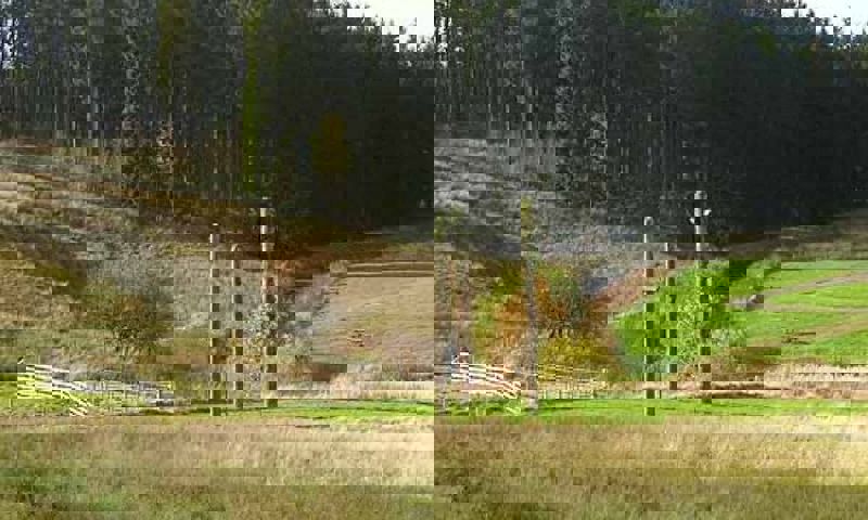 vn-large-Warksburn-Picnic-Site-.jpg