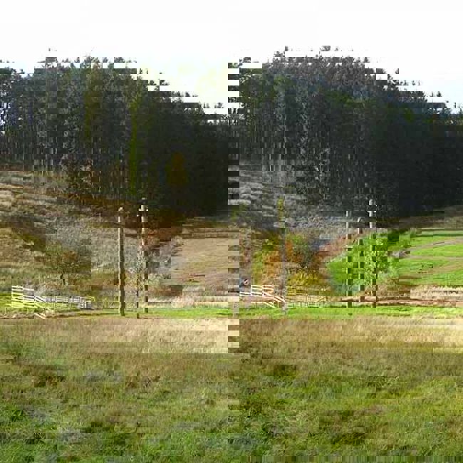 vn-large-Warksburn-Picnic-Site-.jpg